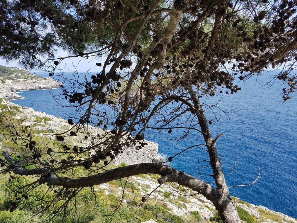 Villa Bocca Del Pozzo Gagliano del Capo Luaran gambar