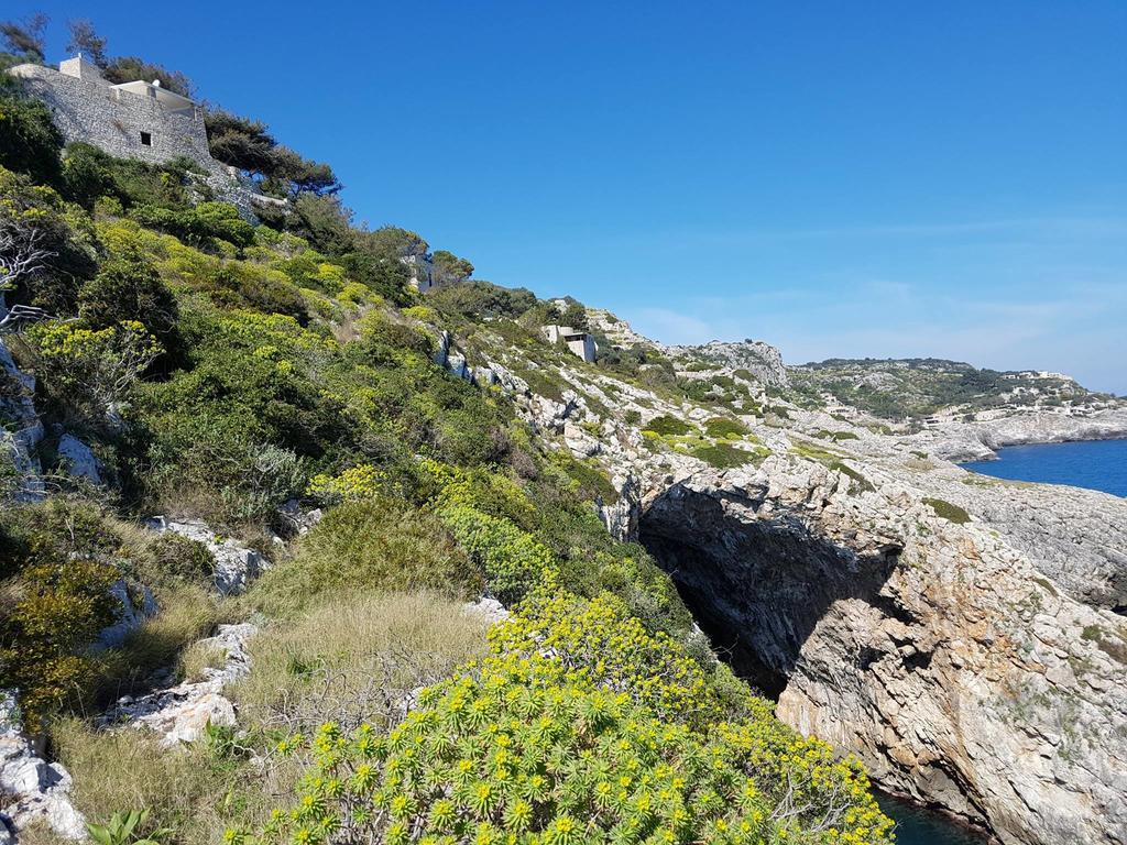 Villa Bocca Del Pozzo Gagliano del Capo Luaran gambar